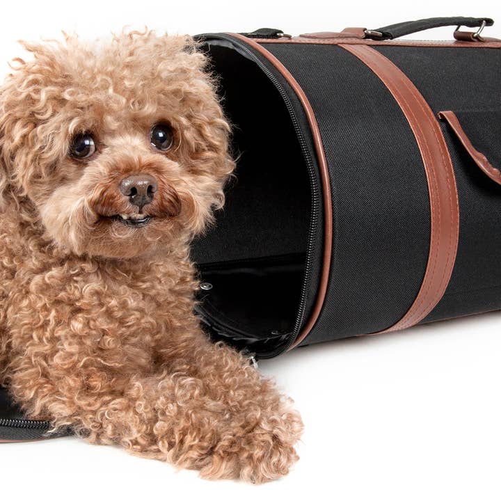 Airline Approved Fashion Cylinder Posh Pet Carrier for wholesale by Pet Life