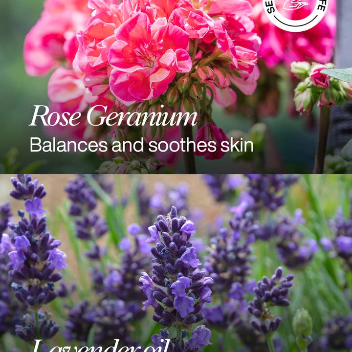 Organic Works - Wholesale Body Wash/Shower Gel - Lavender Relax & Replenish Shower Gel 200ml (Pack of 5)2