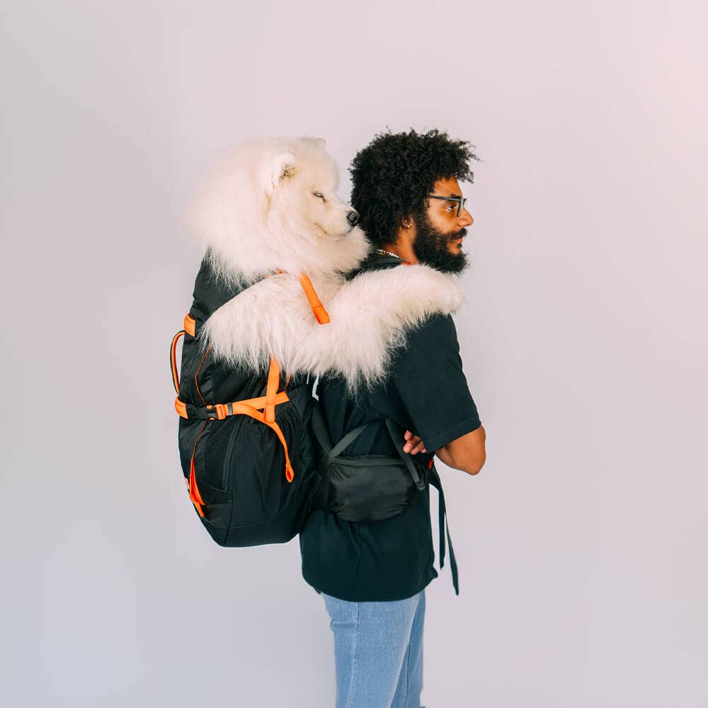 Negro Mochila Brodie One Big Dog de venta al por mayor en Faire11