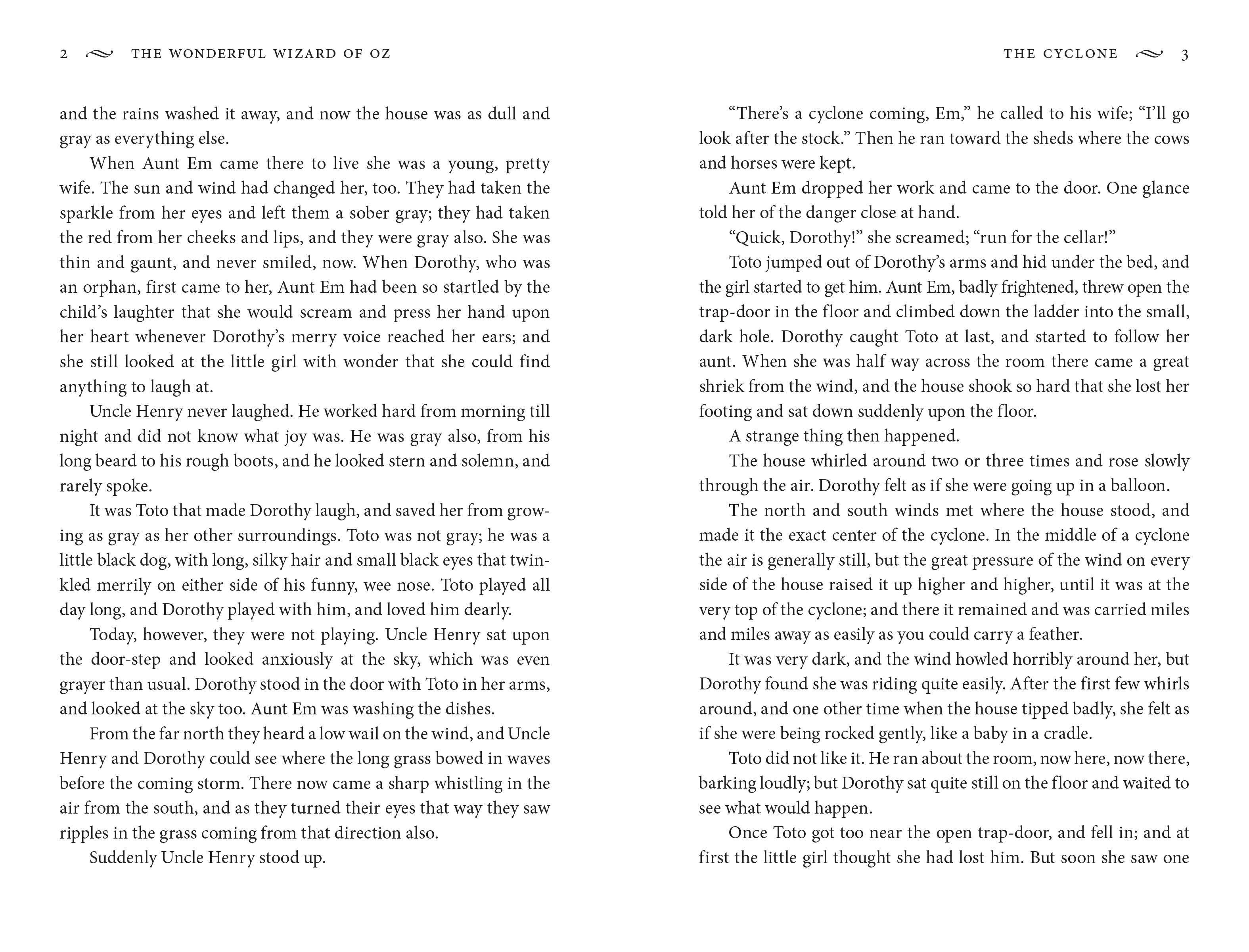 Hachette Book Group - Wholesale Classics - The Wonderful Wizard of Oz by L. Frank Baum5