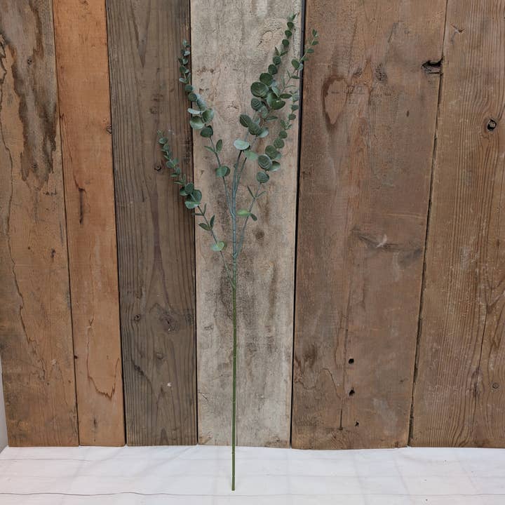 Caule de Eucalipto por atacado de A.T. Imports