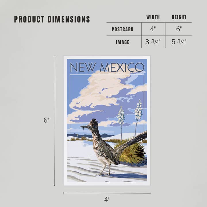 Lantern Press - Vente Cartes postales - CARTES POSTALES PREMIUM Nouveau-Mexique, scène Roadrunner4