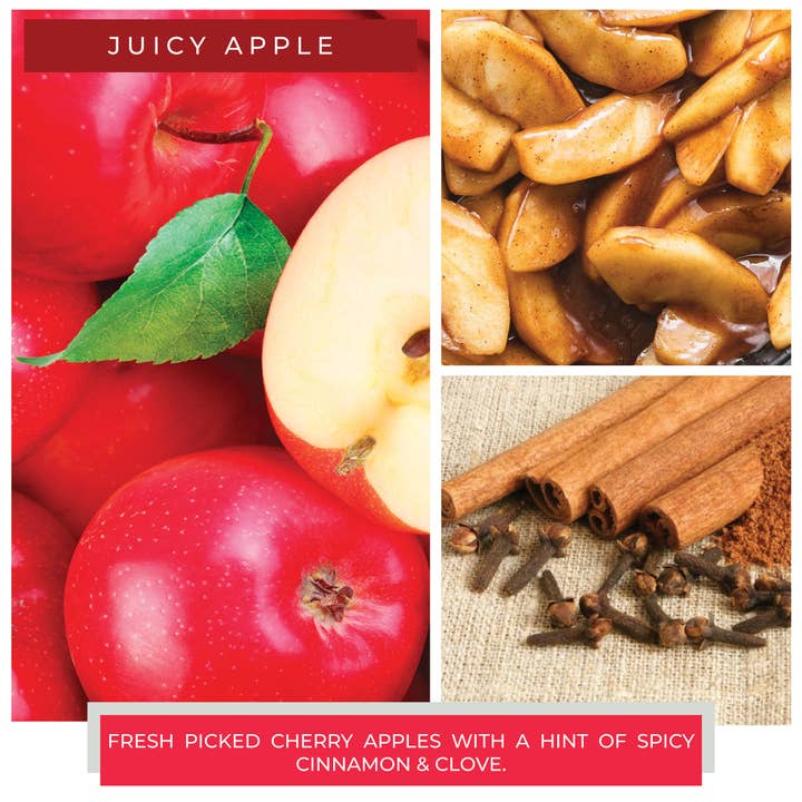 A Cheerful Giver - Wholesale Jar/Filled Candle - KOTL Papa Candle (34oz.) – Juicy Apple