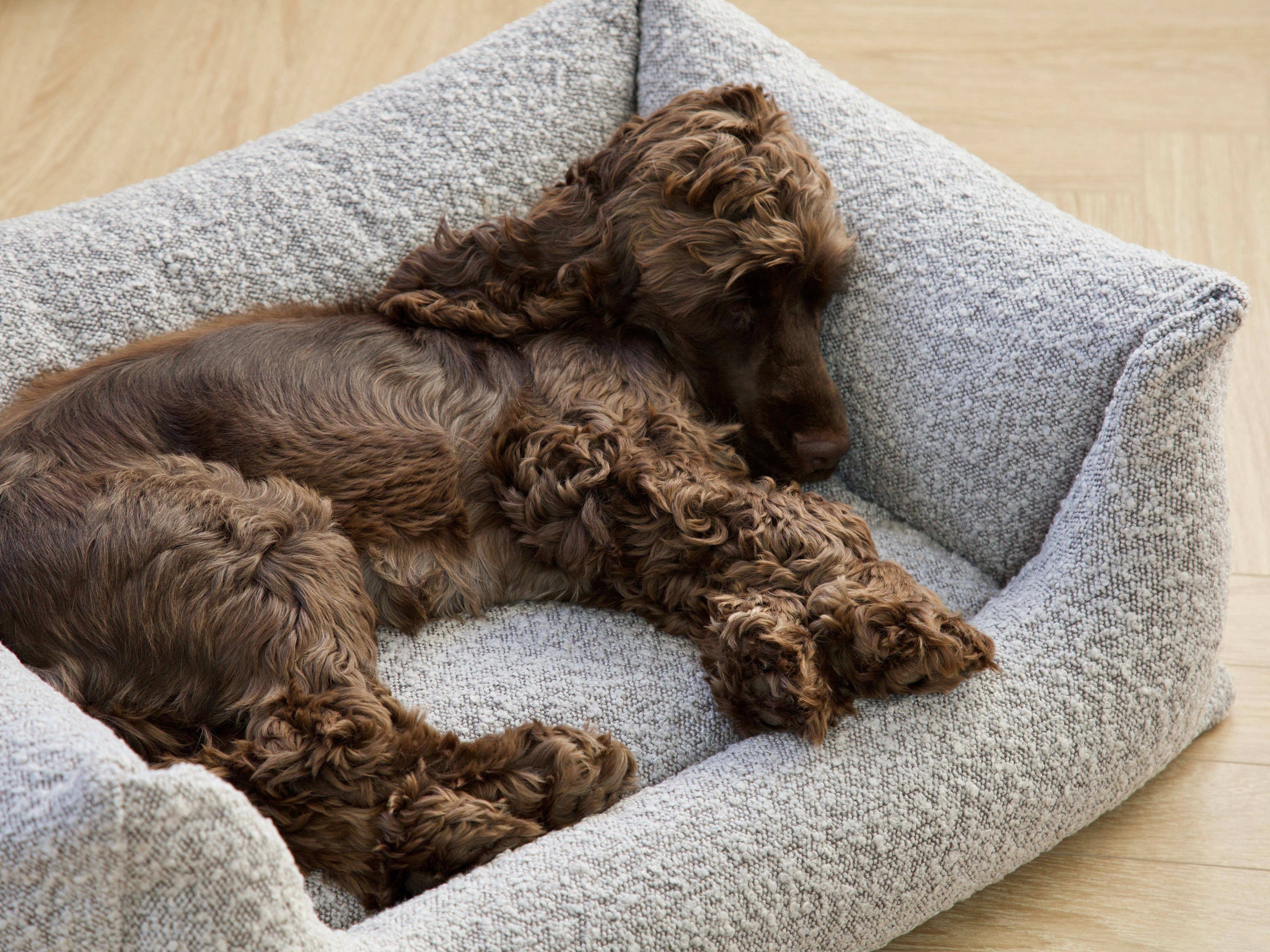 Nordog - Wholesale Bed voor huisdieren - Hond - BILLY hondenmand van bouclé stof in taupe10