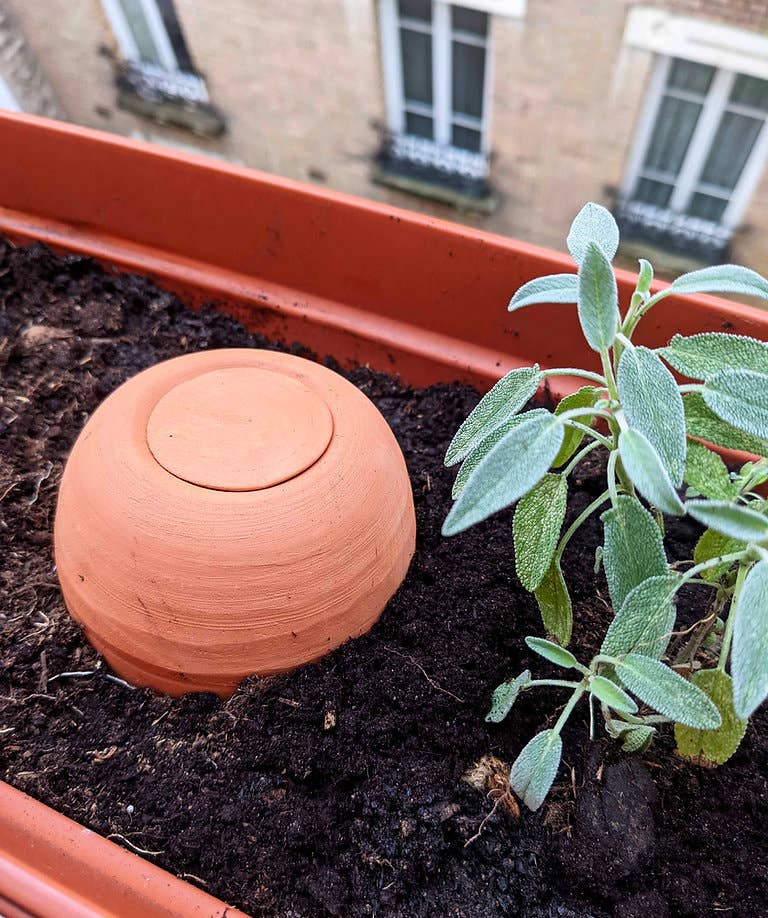On sème en ville - Wholesale Plant Pot - Oyas - Autonomous and Reasoned Watering1