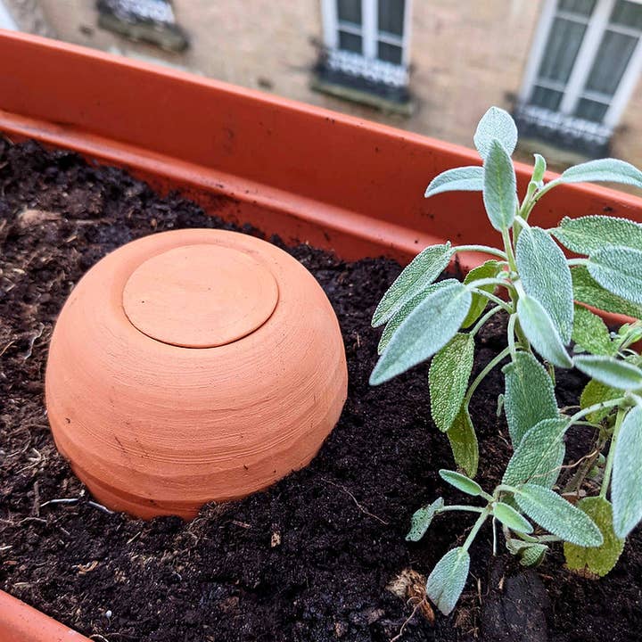 On sème en ville - Wholesale Plant Pot - Oyas - Autonomous and Reasoned Watering1