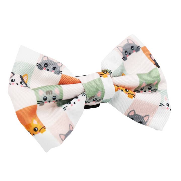 SASSY WOOF - Wholesale Pet Bow Tie - Cat - Cat Bowtie - Smitten Kittens 1
