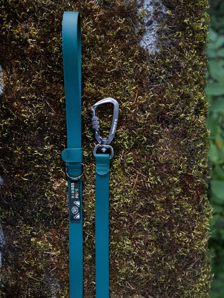 Laisse Dry Five pour la vente par Hambos Pups