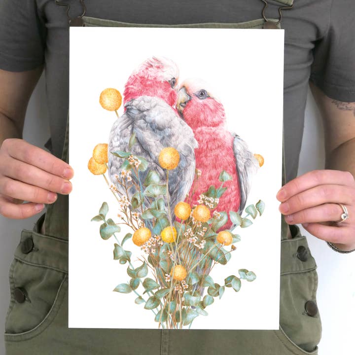 Galahs Art Print for wholesale by Kayla Reay Design