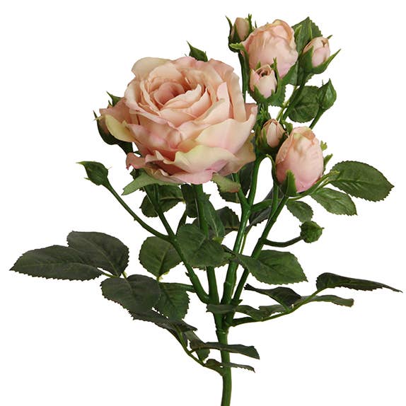 Fleurs artificielles Anglais Fleur, Bourgeons en plastique Rose/Rose (H) 62cm pour la vente par Wurm