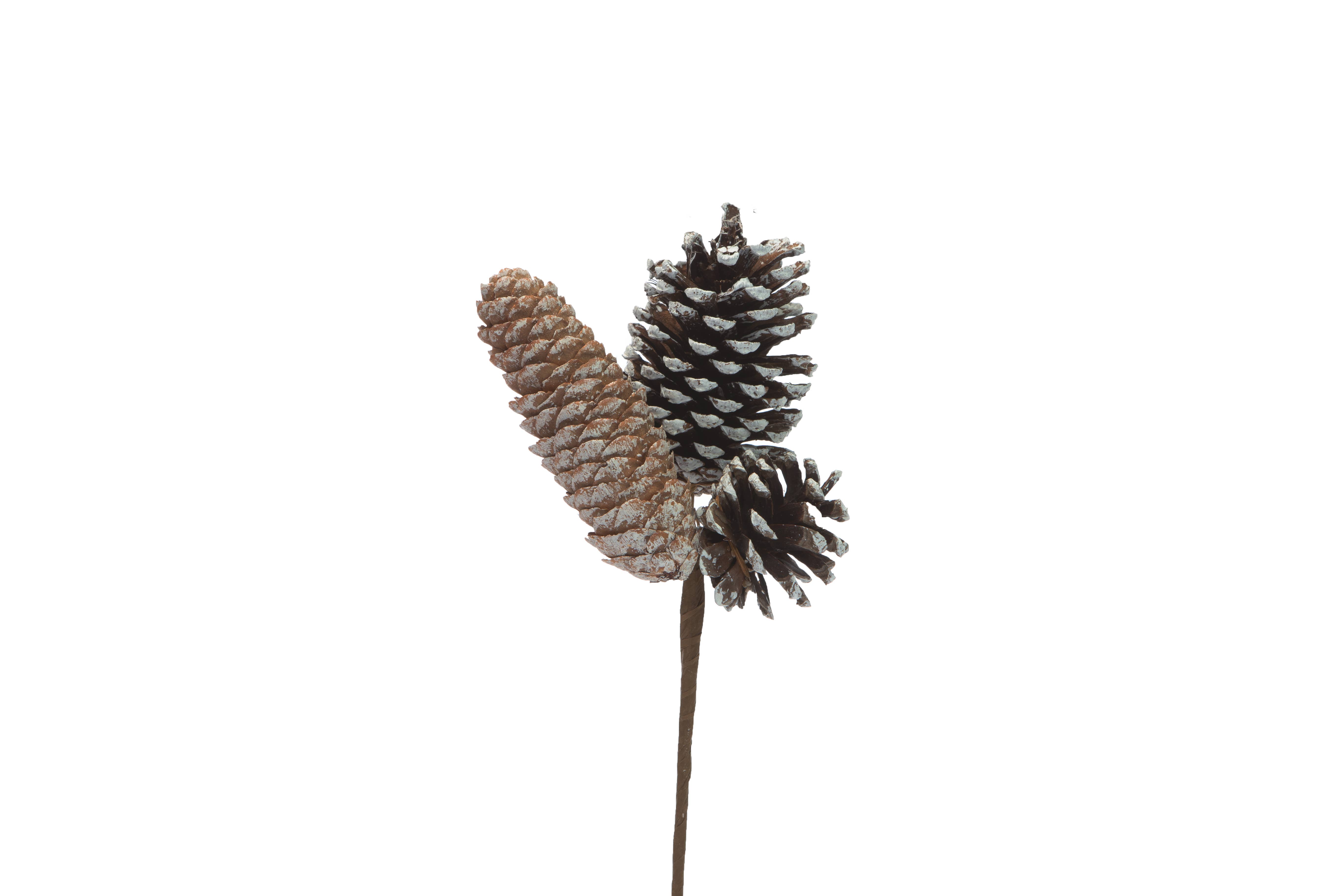Jacobson - Wholesale Christmas Decoration - 12" OAL 3x Pinecone Pick