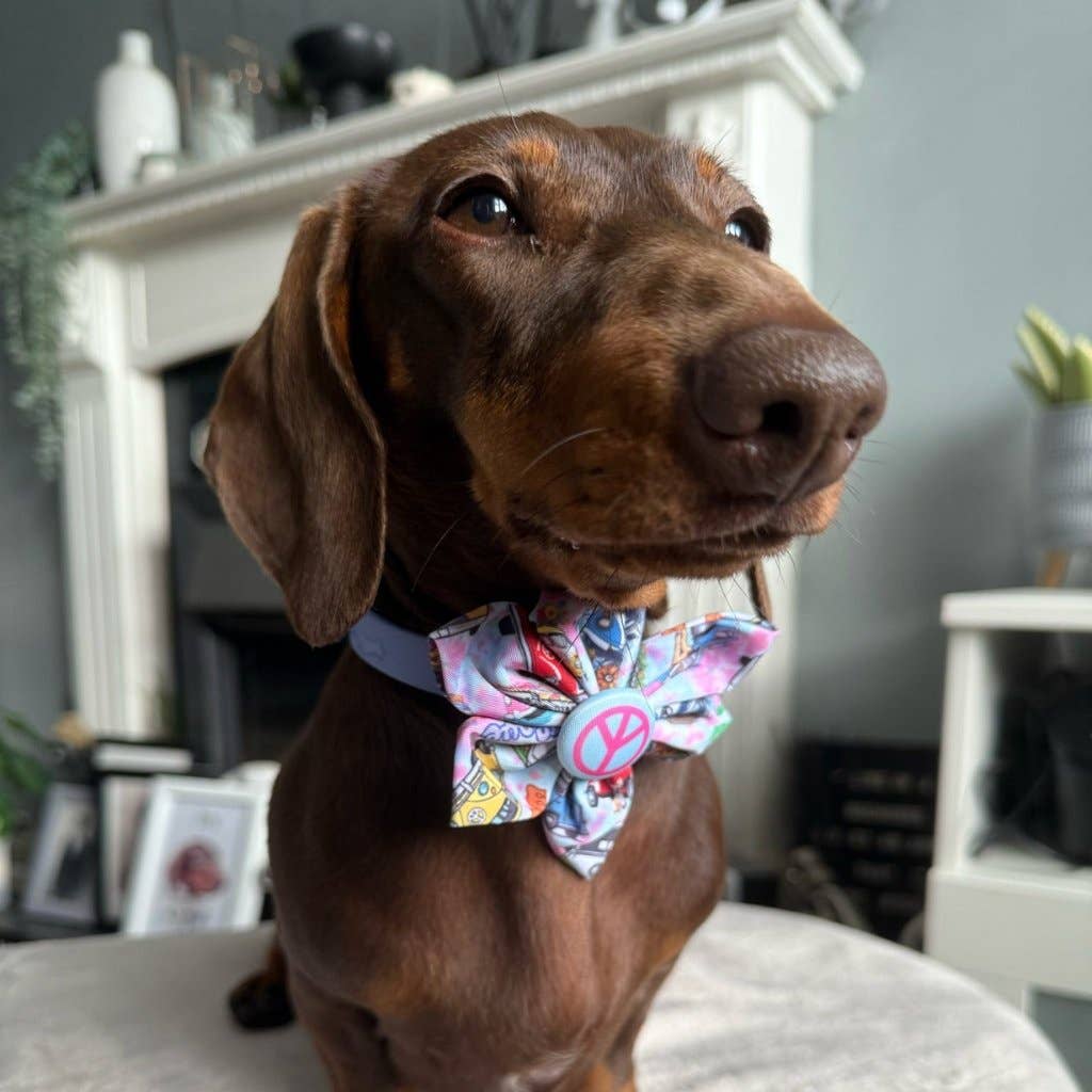 Mylo and Mas Boutique - Wholesale Pet Bow Tie - Dog - Dog Flower Bow - Hippie Van Life1