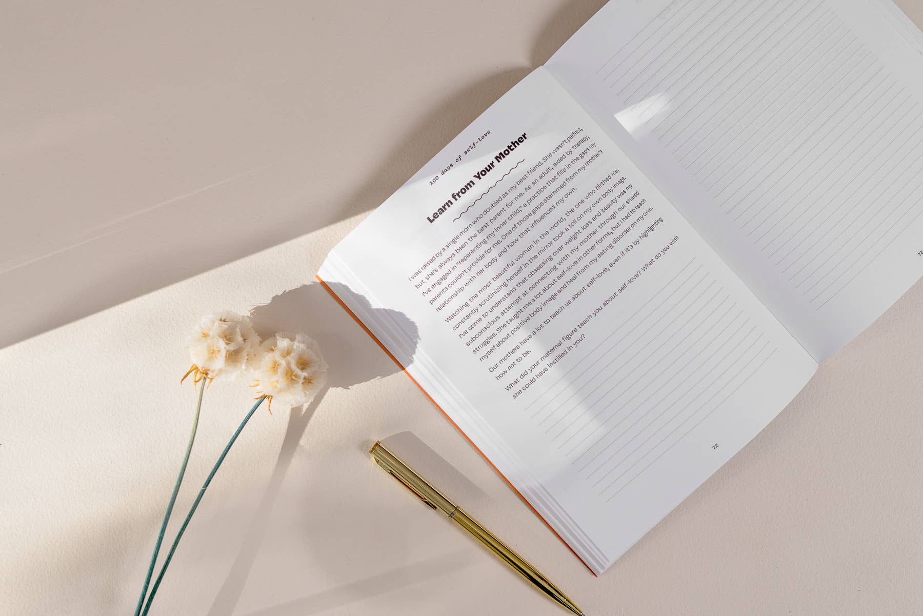 Blue Star Press - Wholesale Journal/Diary - 100 Days of Self-Love: Guided Self Care Journal2