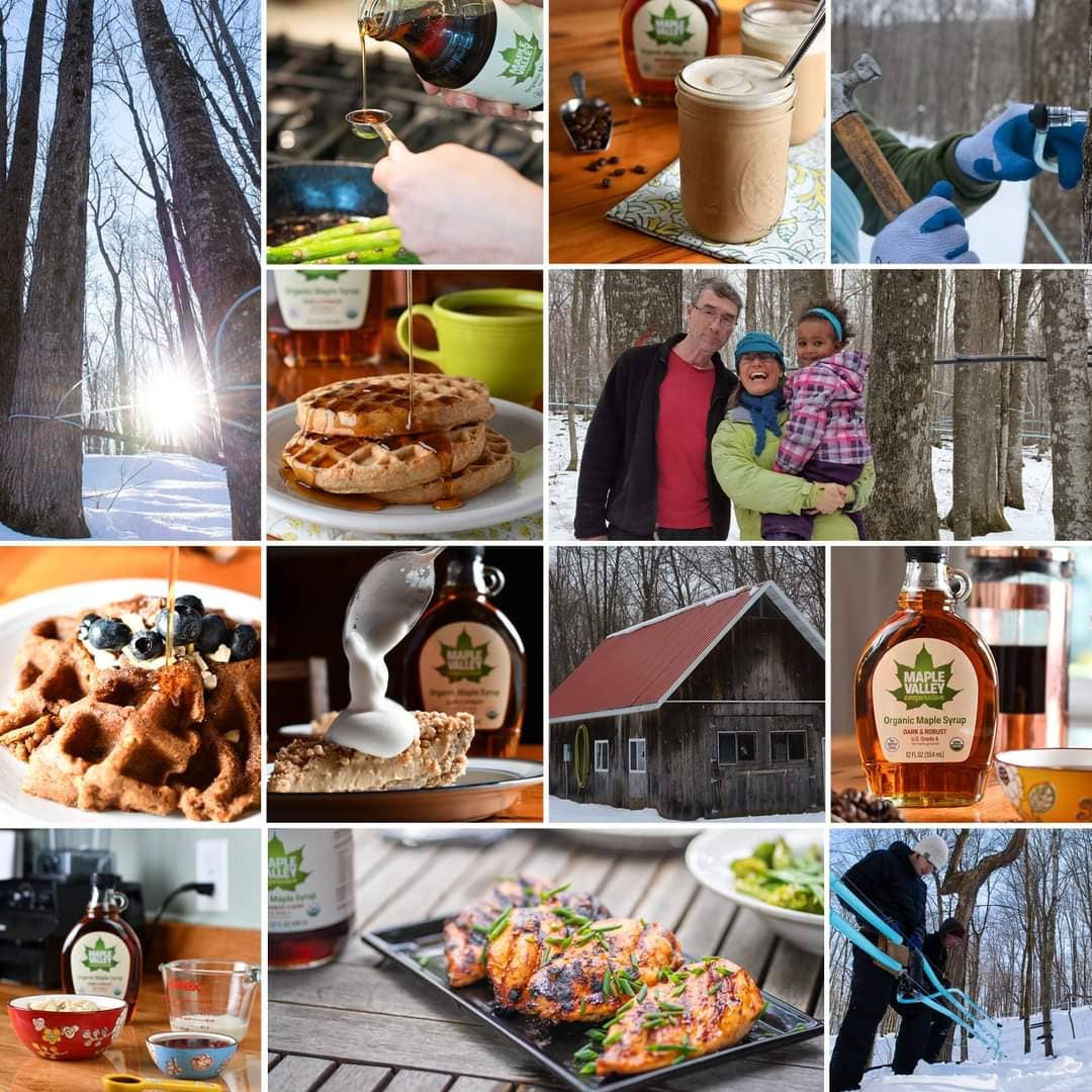 Maple Valley Cooperative - Wholesale Maple Syrup - Maple Syrup Organic Dark & Robust 8 oz. Flat Glass10