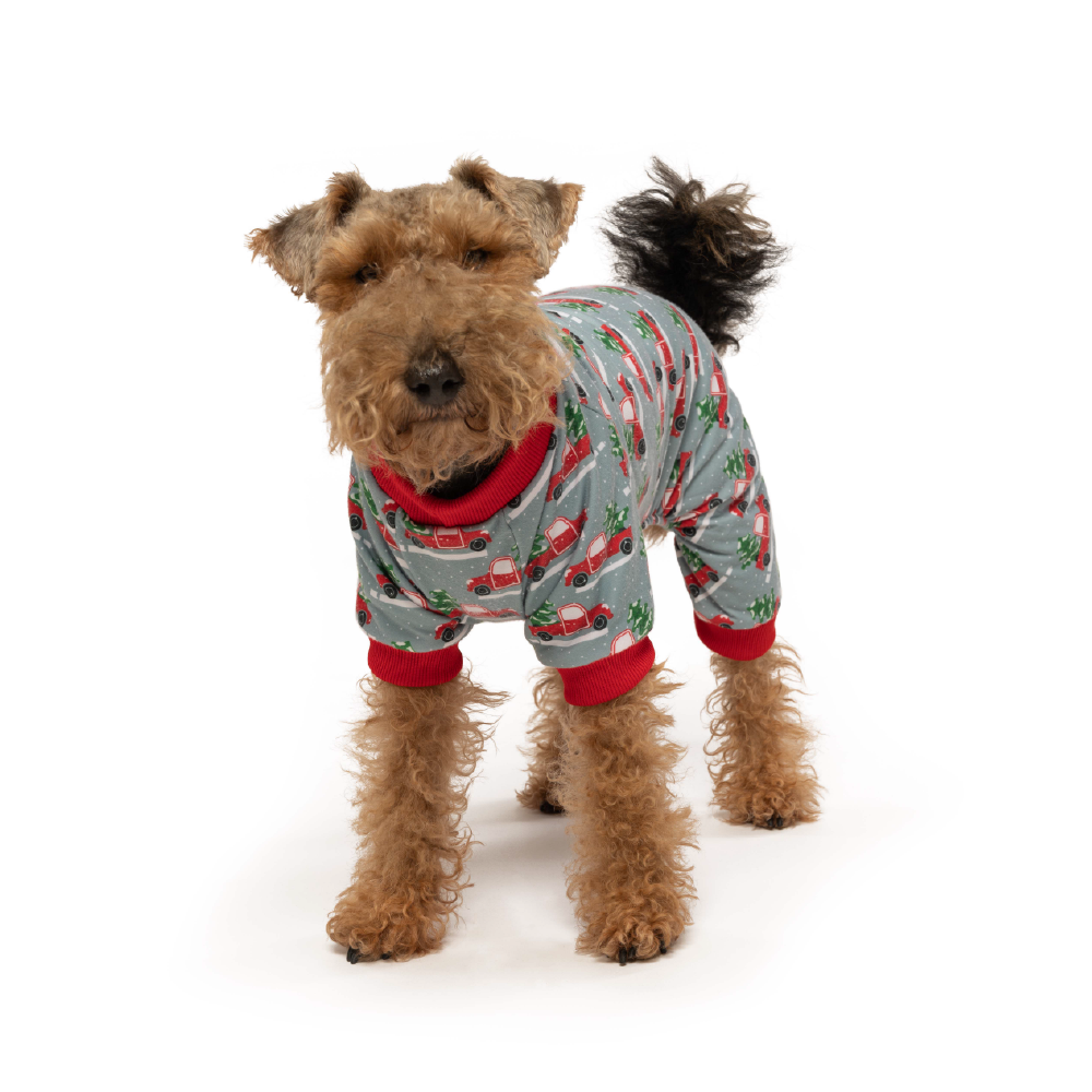 fabdog - Wholesale Pet Pajamas - Dog - X-Mas Truck Onesie1