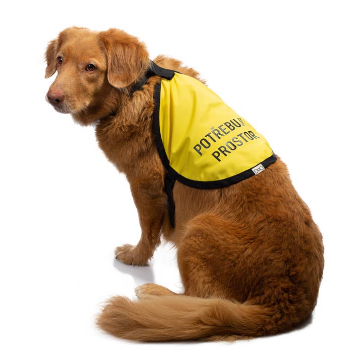 Gilet de sécurité pour chien jaune | Haute visibilité & Texte personnalisé et autres tendances Résultats pour gilet securite en vente B2B. Retours gratuits et paiement à 60 jours sur Faire sur Faire.