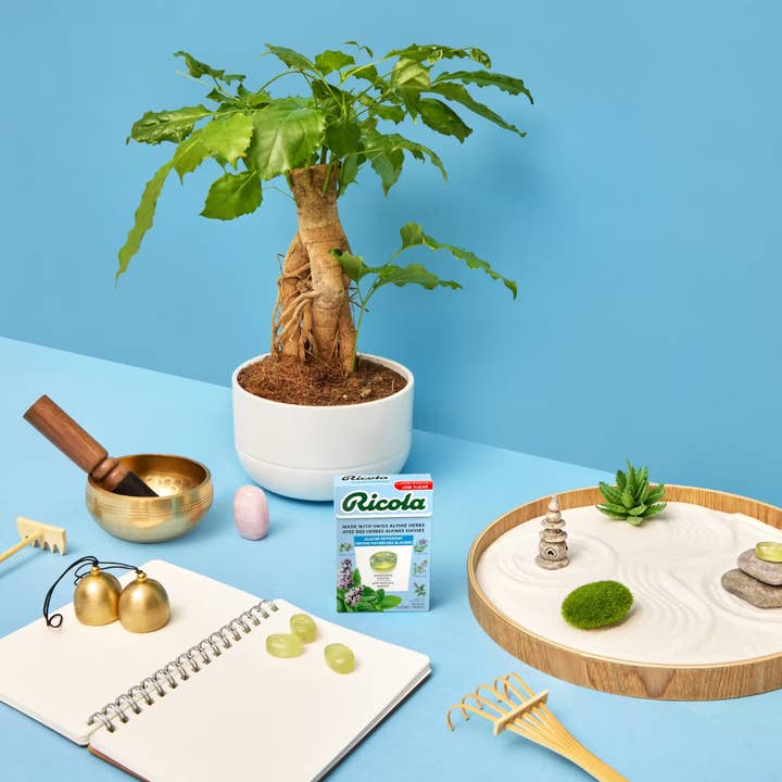 123bonbon - Wholesale Hard Candy - RICOLA - Swiss Herbal Candies - Glacier Mint2