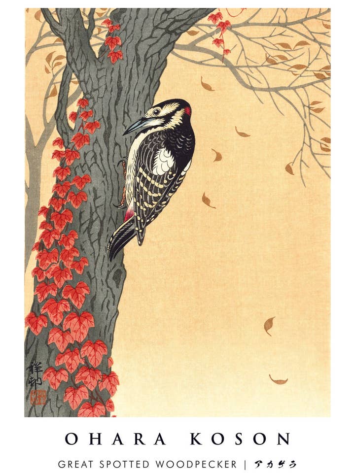 Picchio maculato per la vendita all'ingrosso da parte di Animato