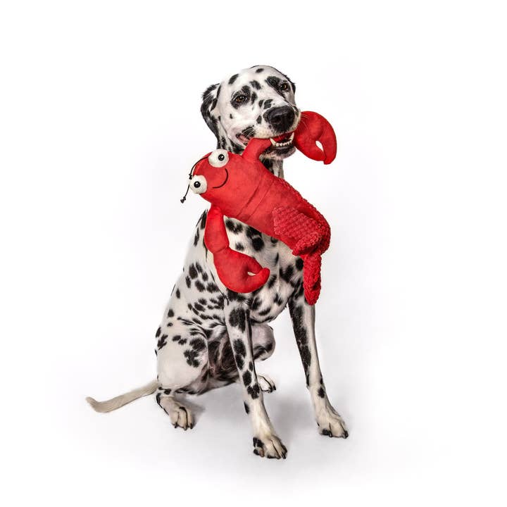 fabdog - Wholesale Pet Plush Toy - Dog - Floppy Lobster3