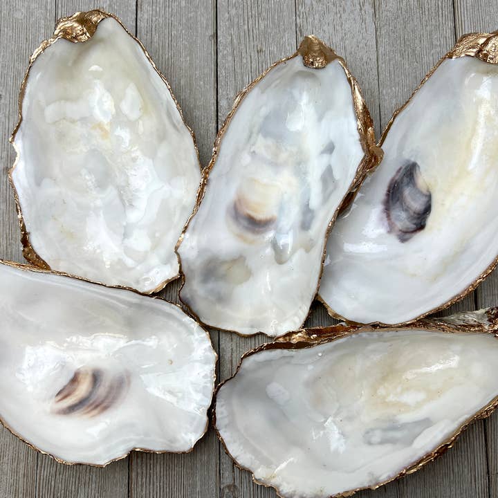 Large Oyster Shell Ring Dish for wholesale by Ten Twenty Six Designs