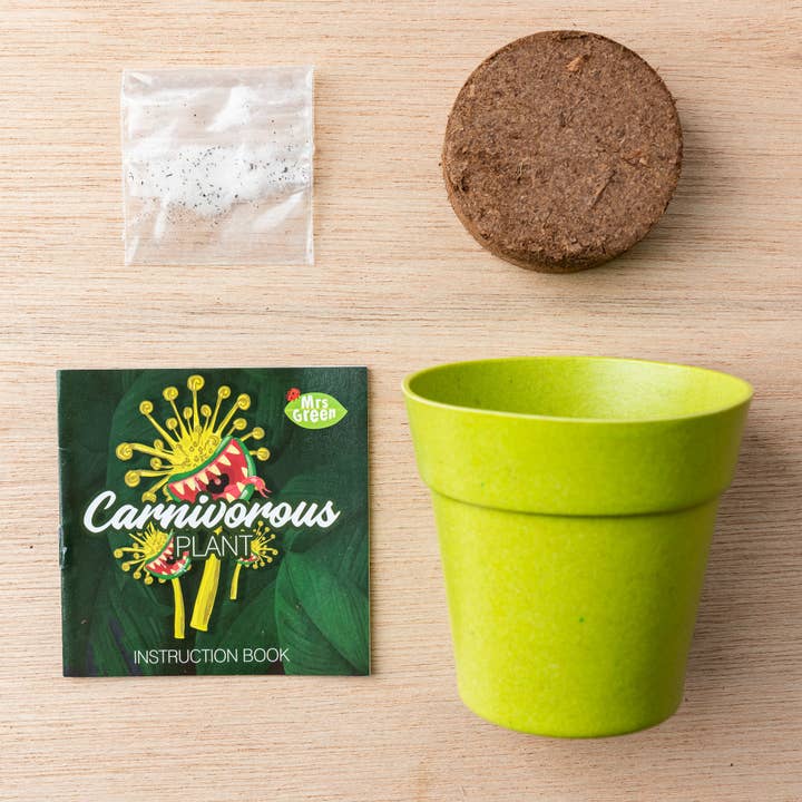 Heebie Jeebies - Wholesale Plant seeds - Carnivorous Plant | Grow Your own Carnivorous Plant6