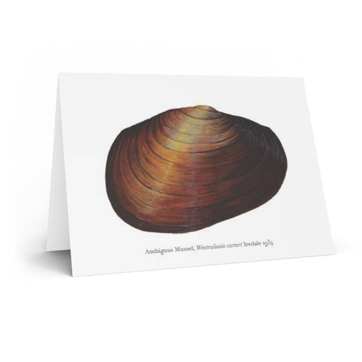 Stick Figure Fish - Wholesale Everyday greeting card - Ambiguus Mussel Greeting Card