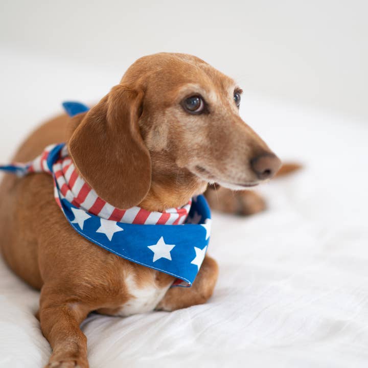 The Paws - Wholesale Pet Bandana - Dog - Patriotic Dog Bandana2