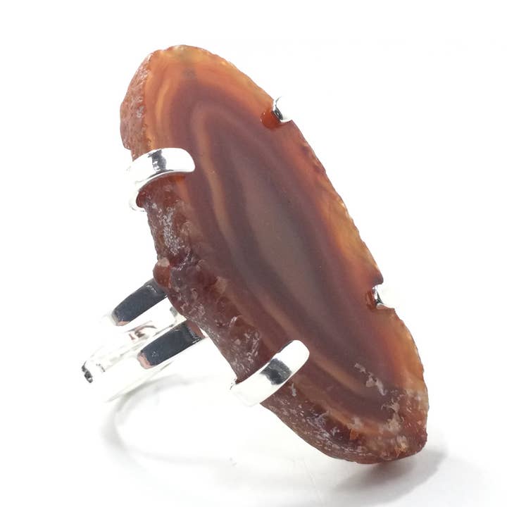 R27807 for wholesale by The Encore Fashion Group