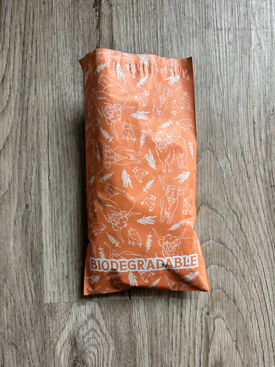 SomeFinn - Wholesale Envelopes - Farm Fresh: 6x9 Mailers with Highland Cows & Chickens 250 ct2