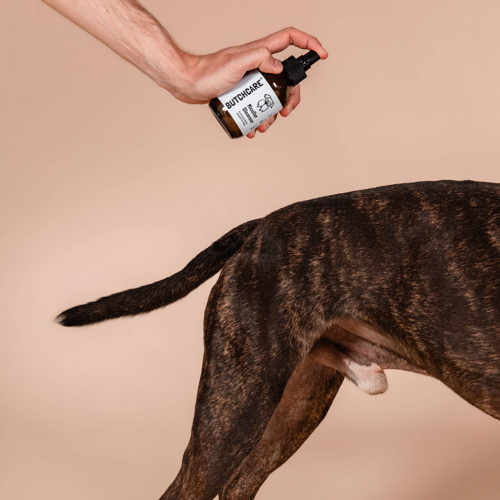 Butchcare - Venta al por mayor Spray para mascotas - Perros - Limpiador micelar para perros1