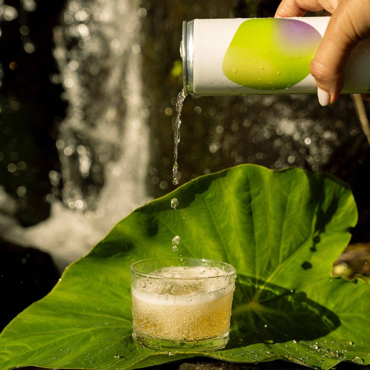 Geocakes - Wholesale Kombucha - That Organic Tropical Citrus Kombucha - 250ml Can1