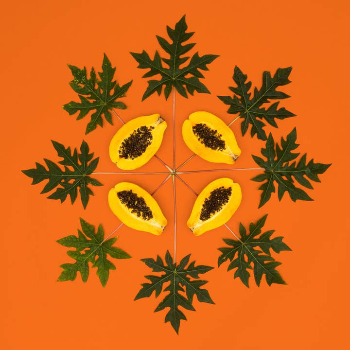 Papaya Sunrise for wholesale by Lola Pilar Hawaii