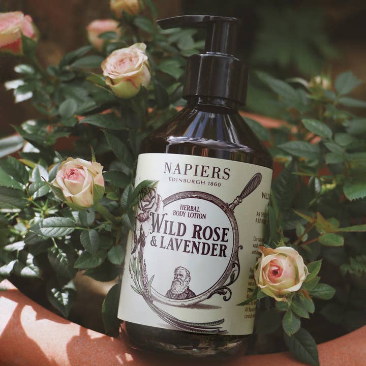 Napiers - Wholesale Hand & Body Lotion - Napiers Wild Rose & Lavender Body Lotion