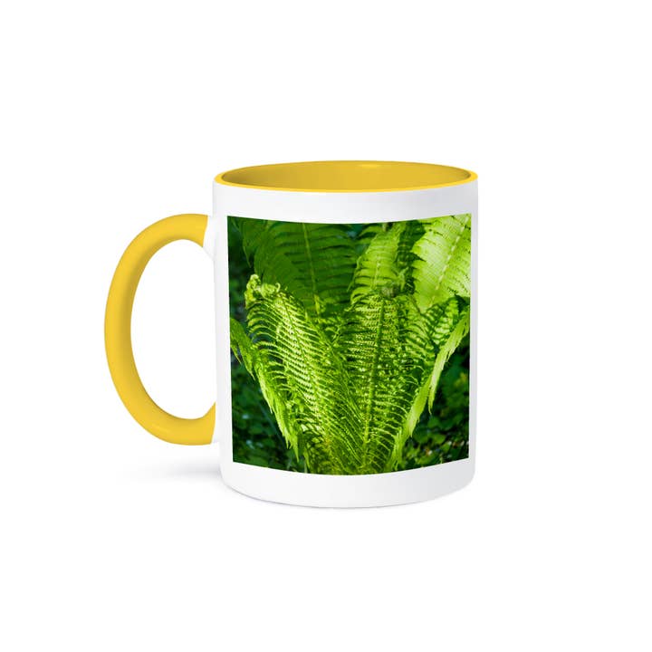 3dRose - Wholesale Coffee Mug - 3dRose, Fiddlehead fern plant, green bowl of spring, Mug