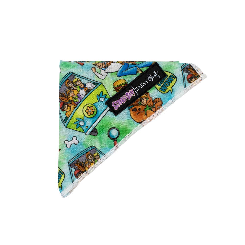 SASSY WOOF - Wholesale Pet Bandana - Dog - Dog Bandana - Scooby-Doo™1