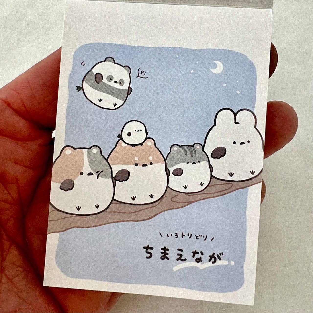 BCmini - Wholesale Notepad - 114552 Round Animal Birds Animals Mini Notepad-1017