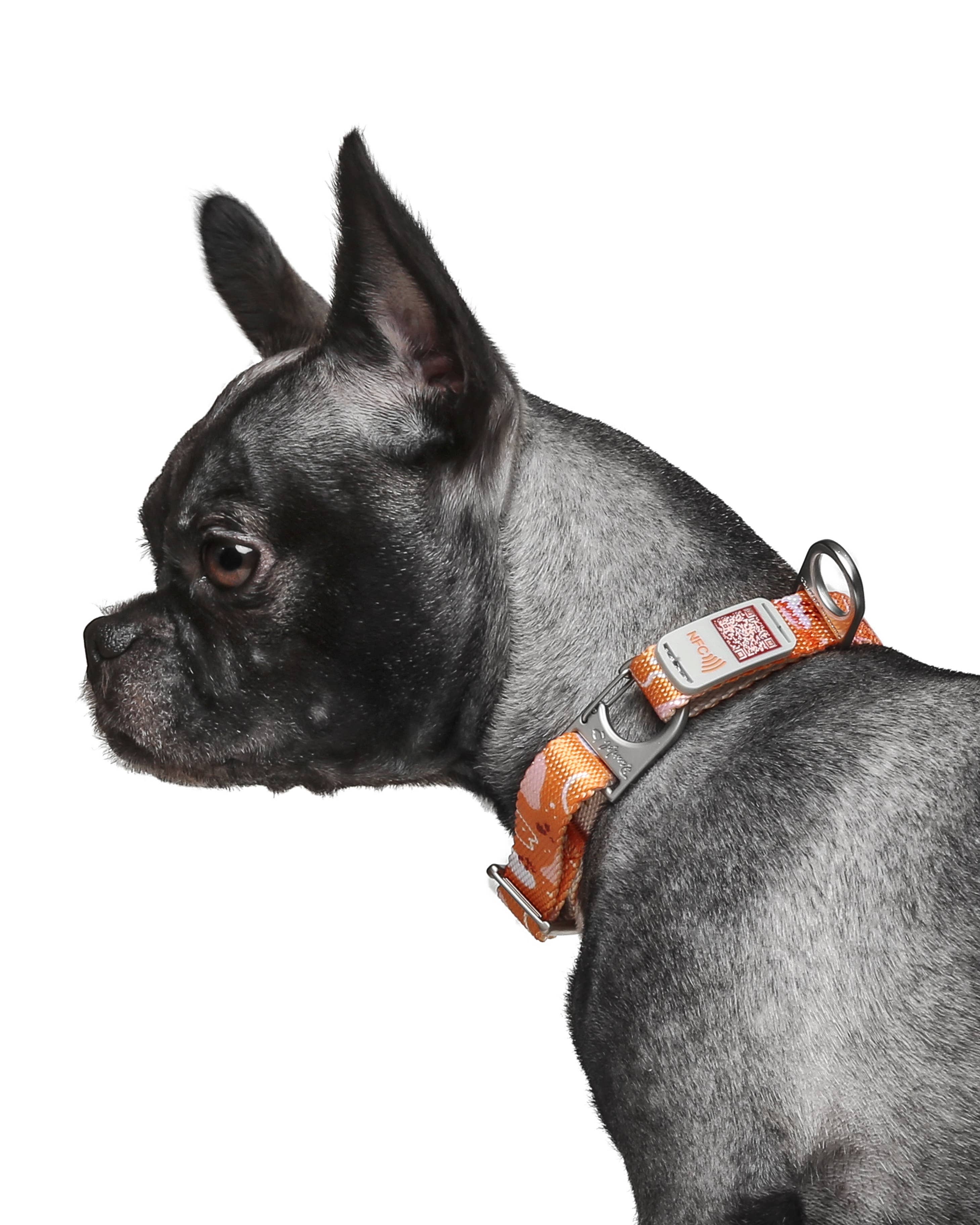 Pawnec - Wholesale Pet Collar - Cat/Dog - NeoCollar16