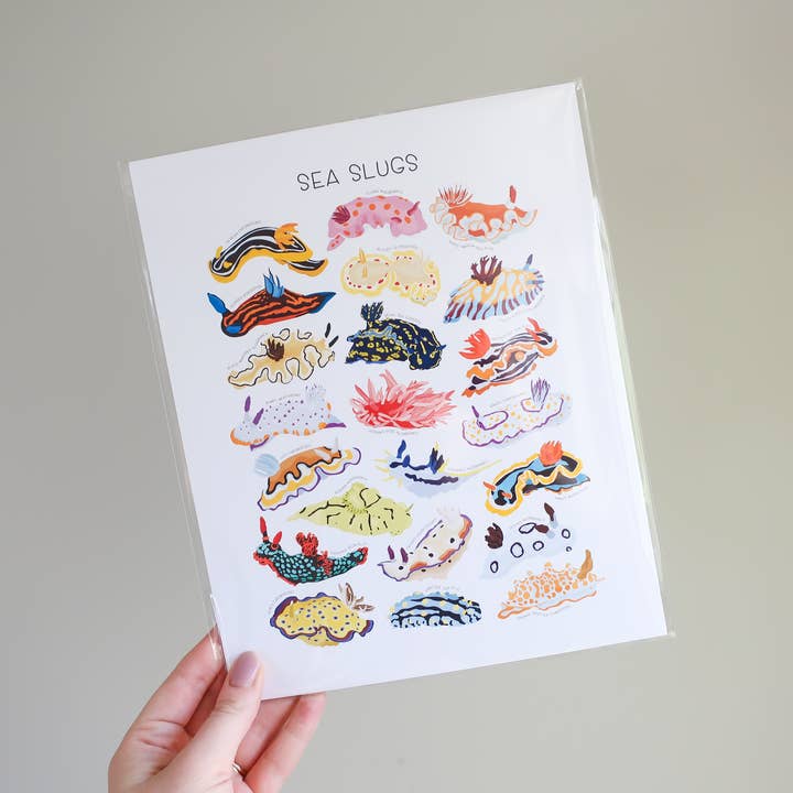Beehive 95 Designs - Wholesale Art Print - Types of Sea Slugs - Educational Nature Art Print1