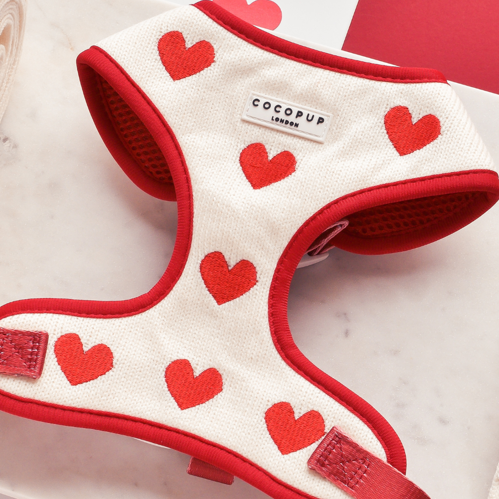 Cocopup London - Wholesale Pet Harness - Dog - Hugs & Knitted Adjustable Neck Harness3