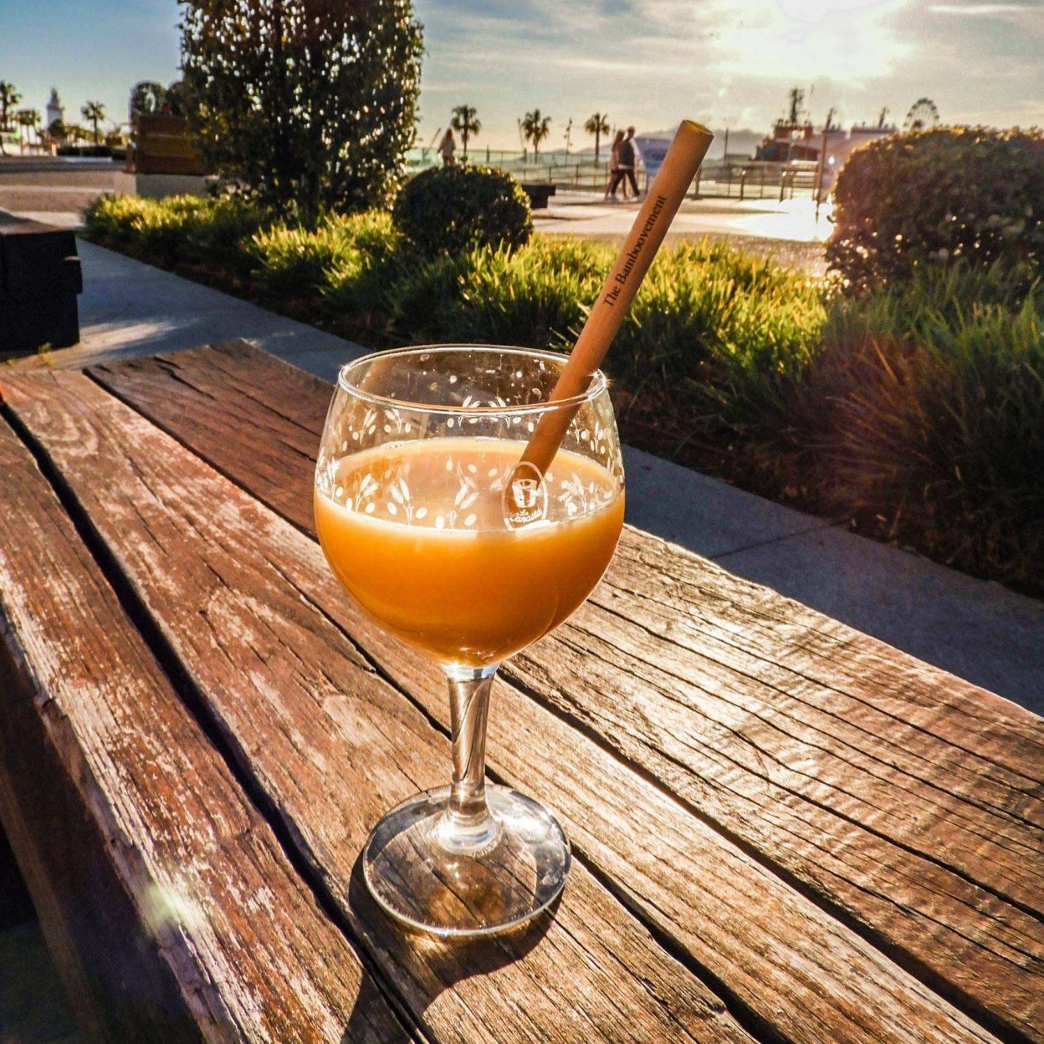 Bamboovement - Venta al por mayor Pajitas para beber - Popotes reutilizables de bambú sostenibles y ecológicos1