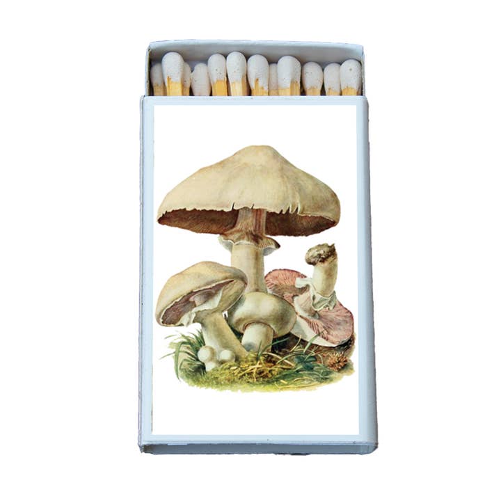 Agaricus Champignon Allumettes • Allumettes Décoratives pour la Maison • Bougie Acc pour la vente par Most Amazing