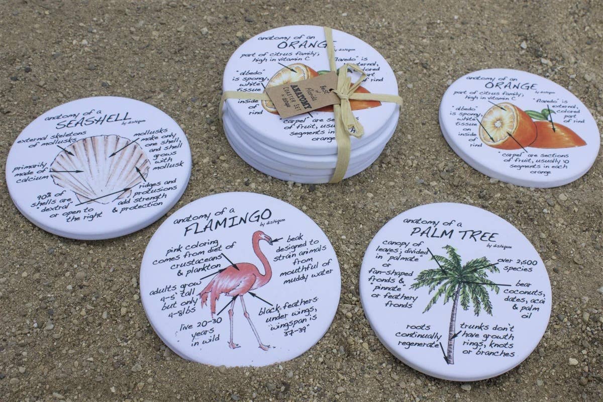 Dishique - Wholesale Coasters - Florida Anatomy Coasters3