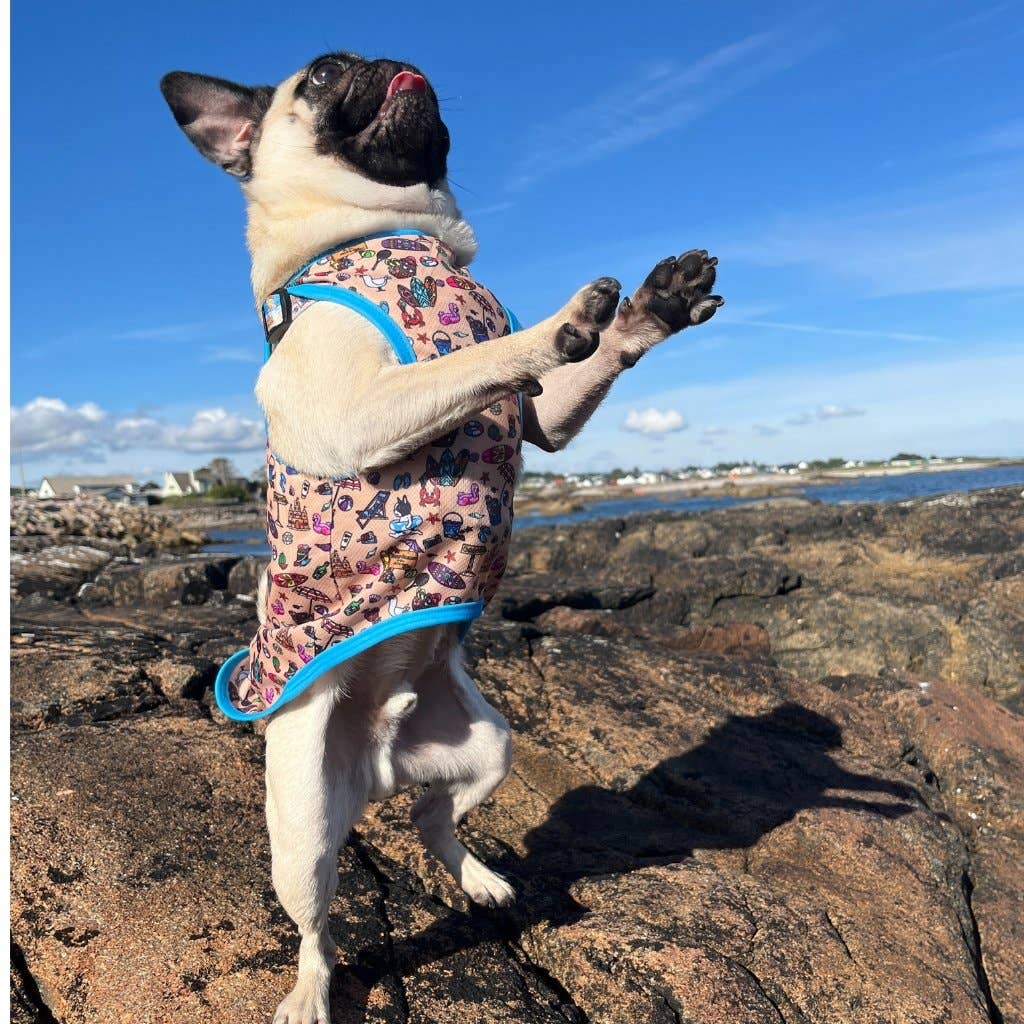 Mylo and Mas Boutique - Wholesale Pet Vest - Dog - Dog Cooling Vest - Sun of a Beach7