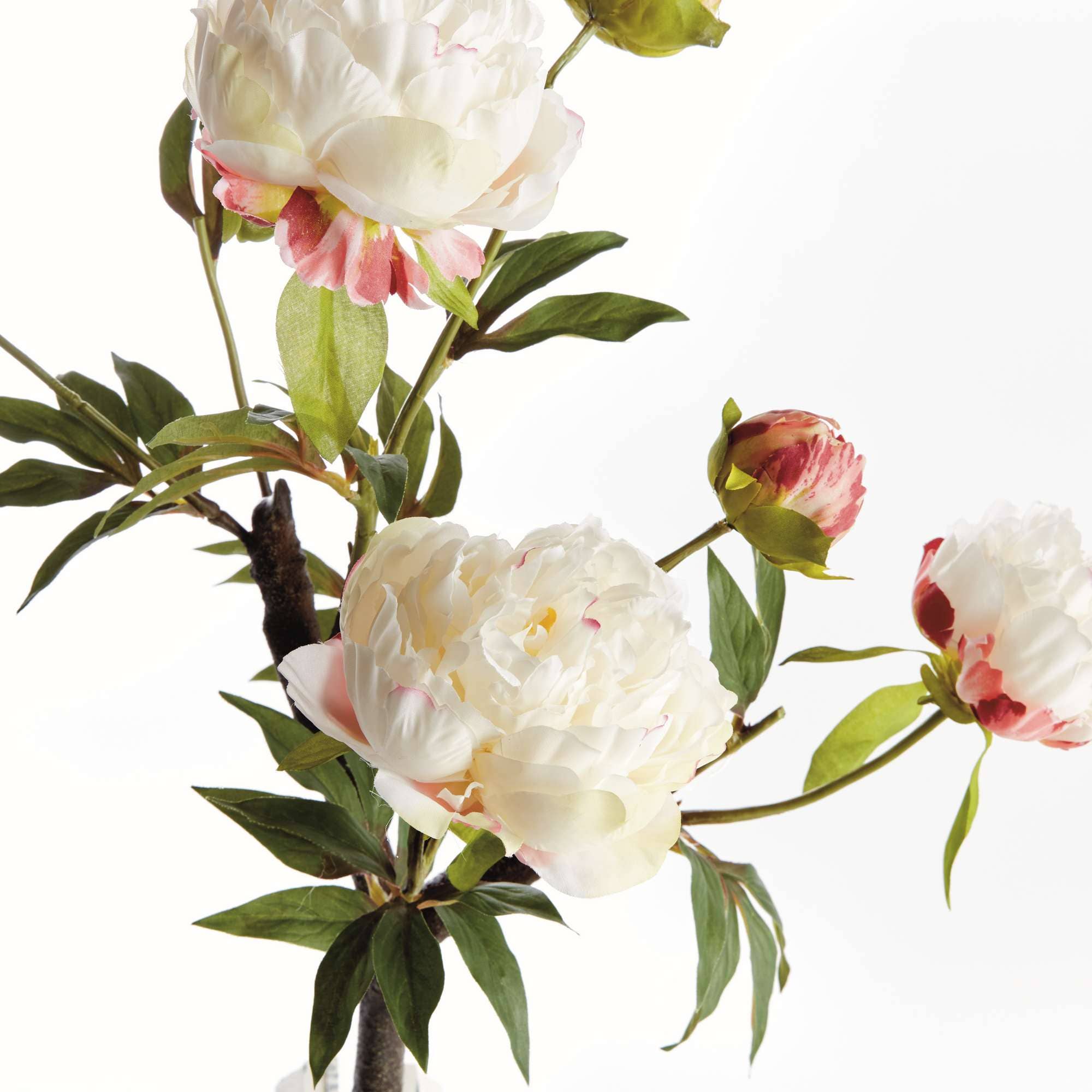 Napa Home & Garden - Vente Fleurs artificielles - Branche de pivoine 25" - Crème2