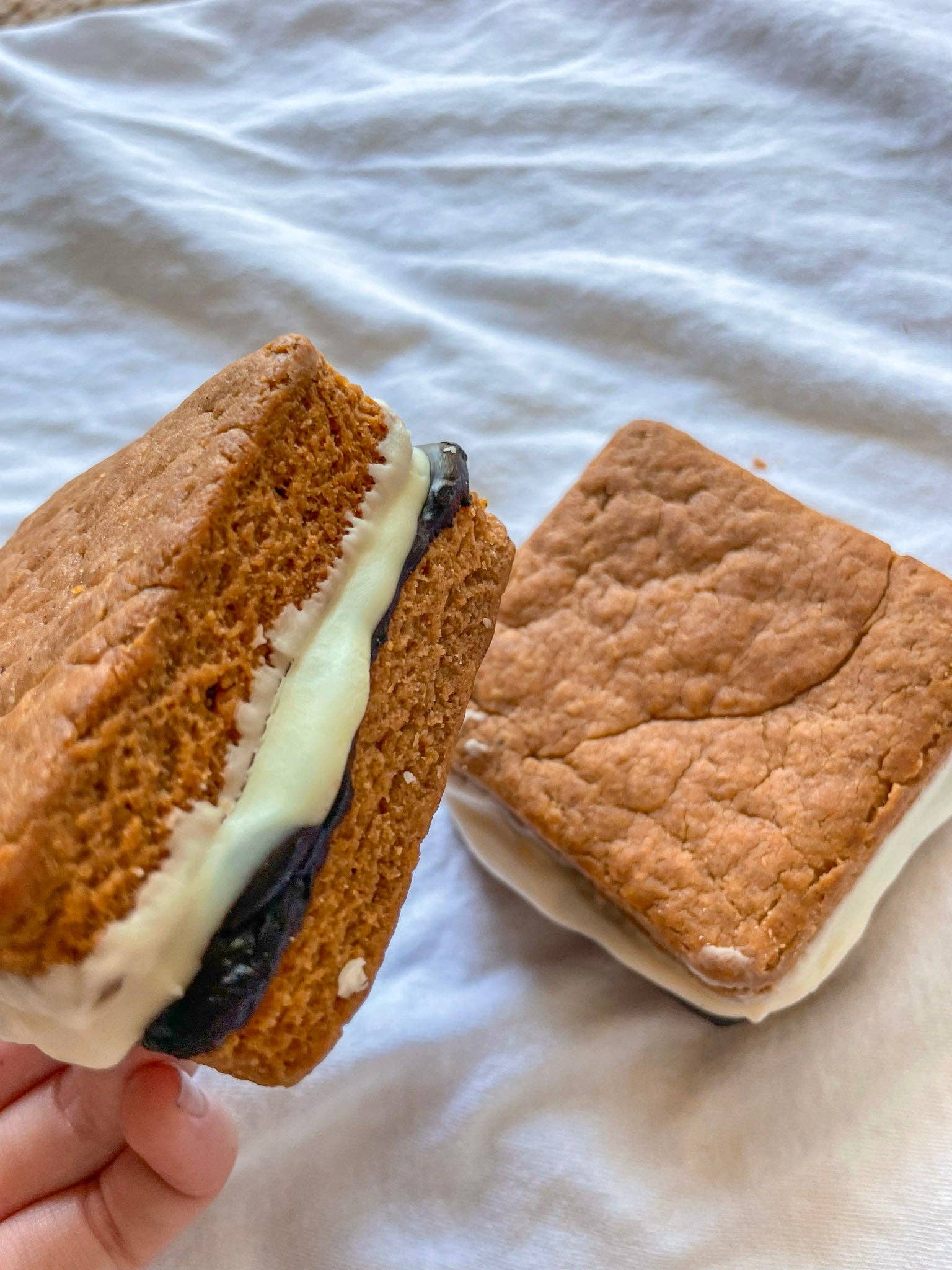 Big Head Barkery - Wholesale Pet Treats - Dog - Doggie S'mores Dog Treats | Peanut Butter, Yogurt & Carob1