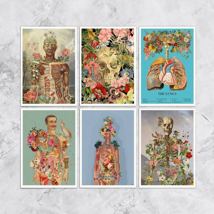 Arty Human Anatomical Postcards Set for wholesale by PRRINT!