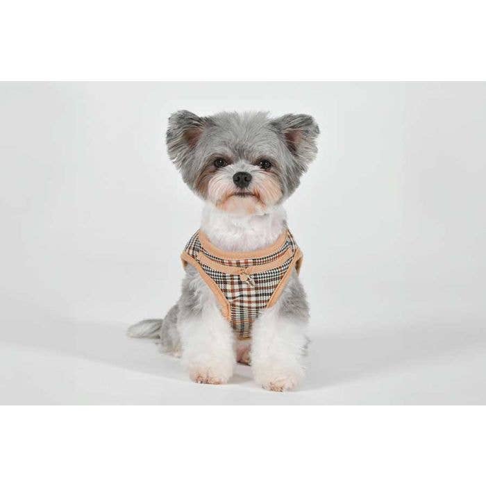 PetLondon - Wholesale Pet Harness - Dog - Puppia Fabric Dog Harness B Shape Bundle-Huge Saving!12