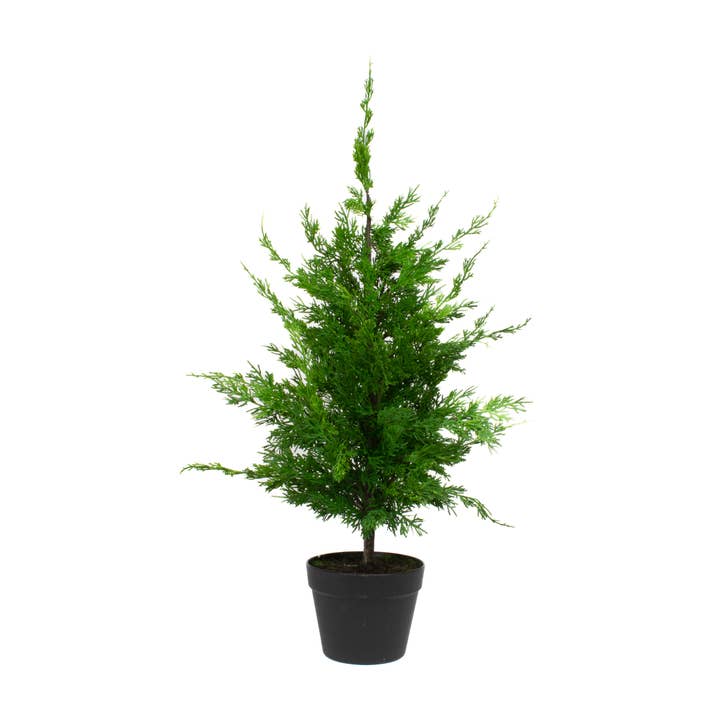 Mills Floral Company - Wholesale Artificial Plant - Leyland Cypress - 36 Inch