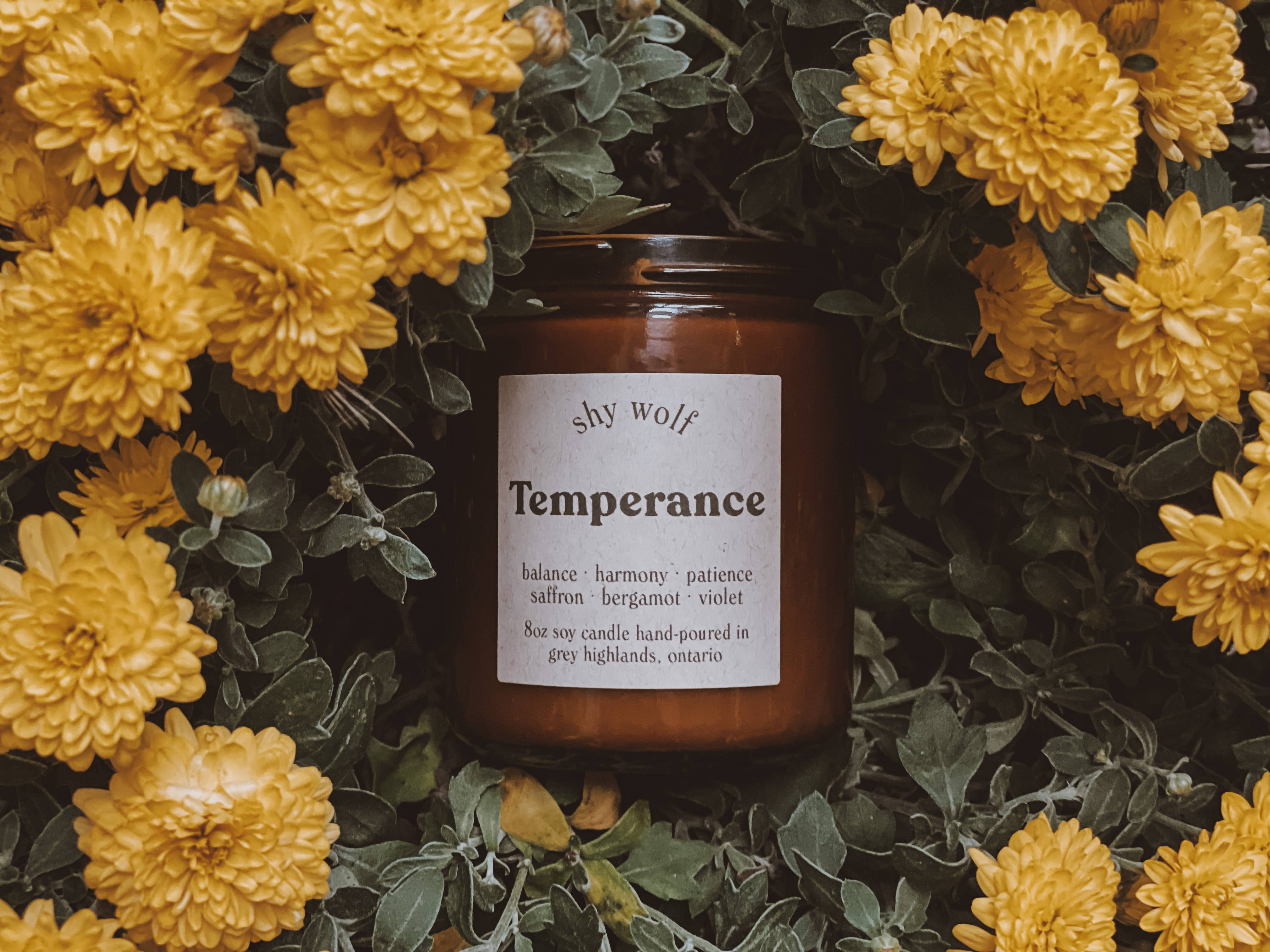 Shy Wolf Candles – wholesale Jar/filled candle – Temperance Tarot Candle - Bergamot, Saffron, Violet0