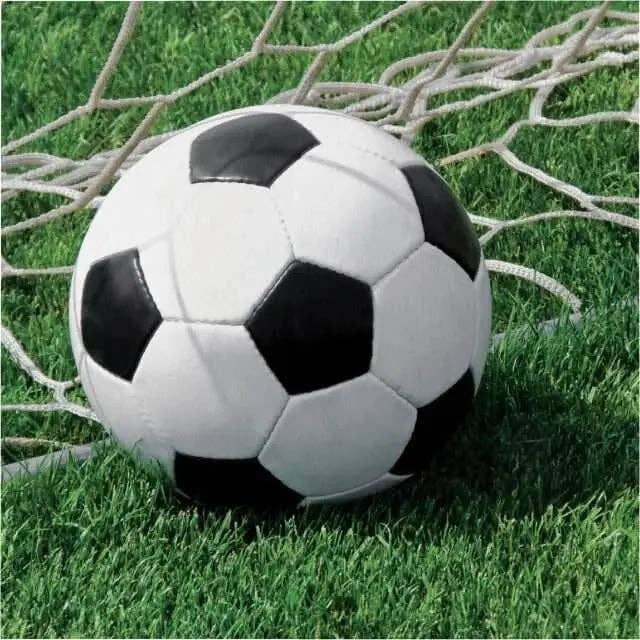 Party Expo, LLC - Wholesale Disposable Napkin - Soccer Lunch Napkins (16ct)0